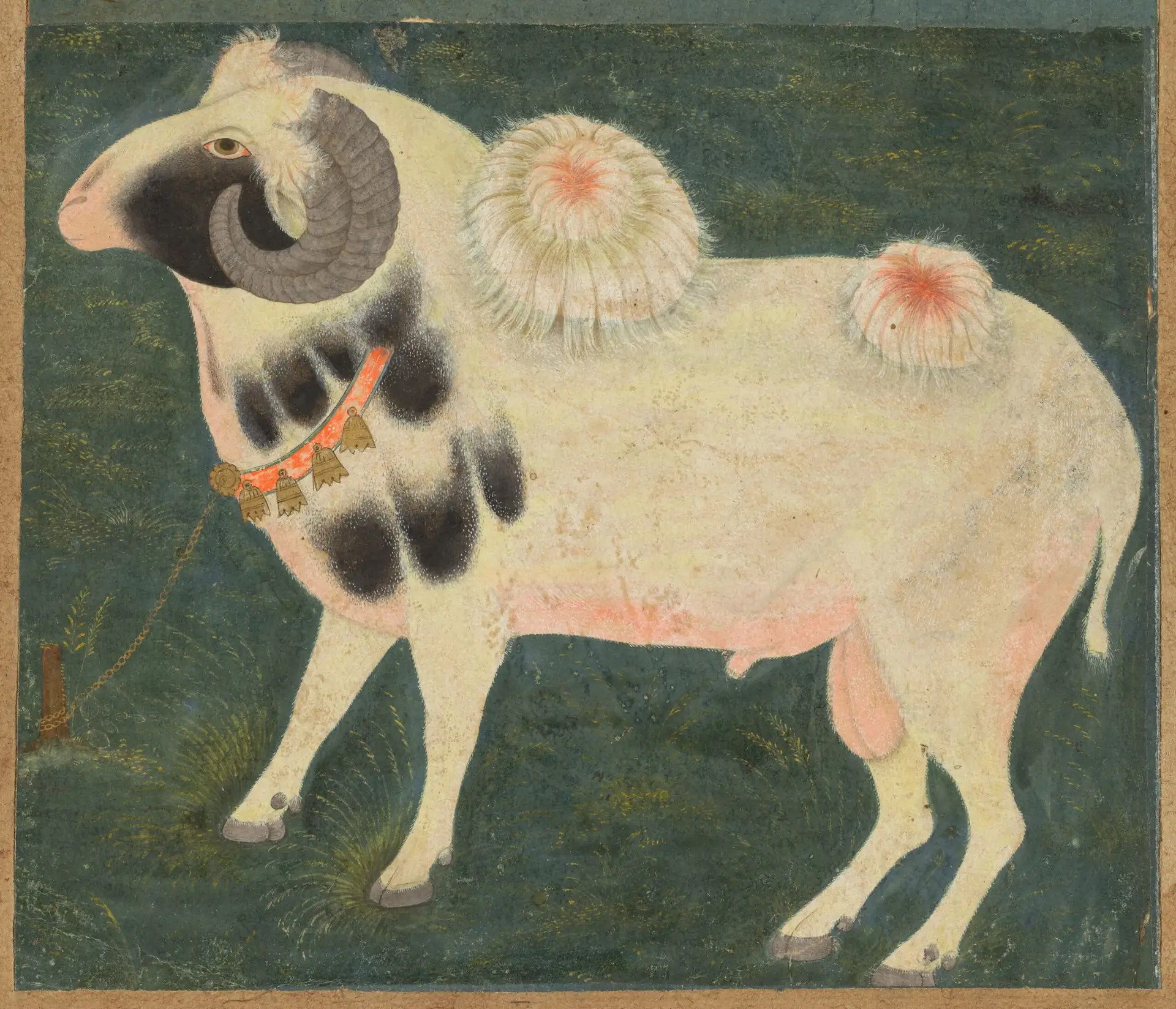 A royal ram wearing a gold chain, Mughal court painting, Cleveland Museum of Art