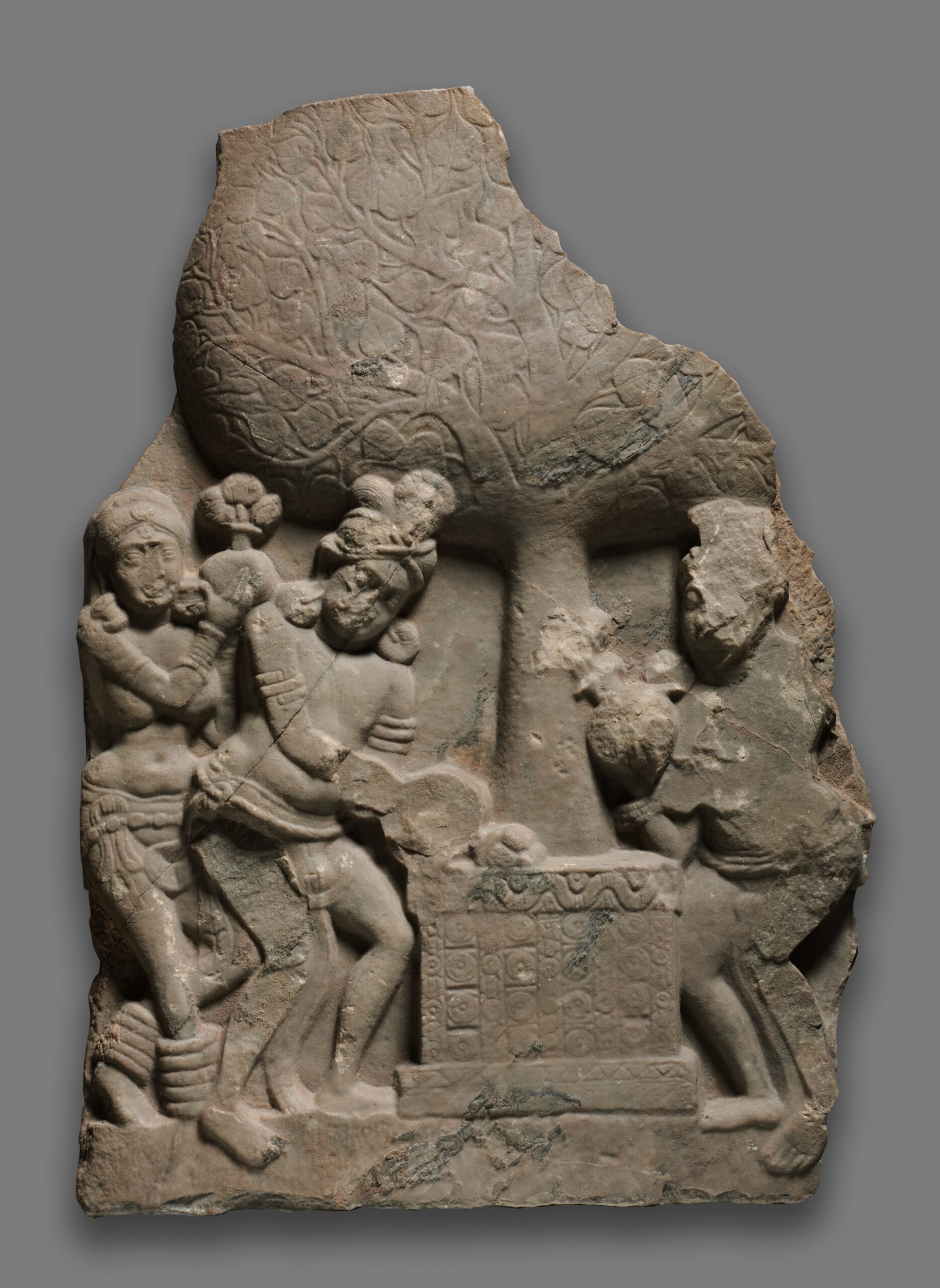 tree, buddhist reliefs, about 50 BCE to 50 CE