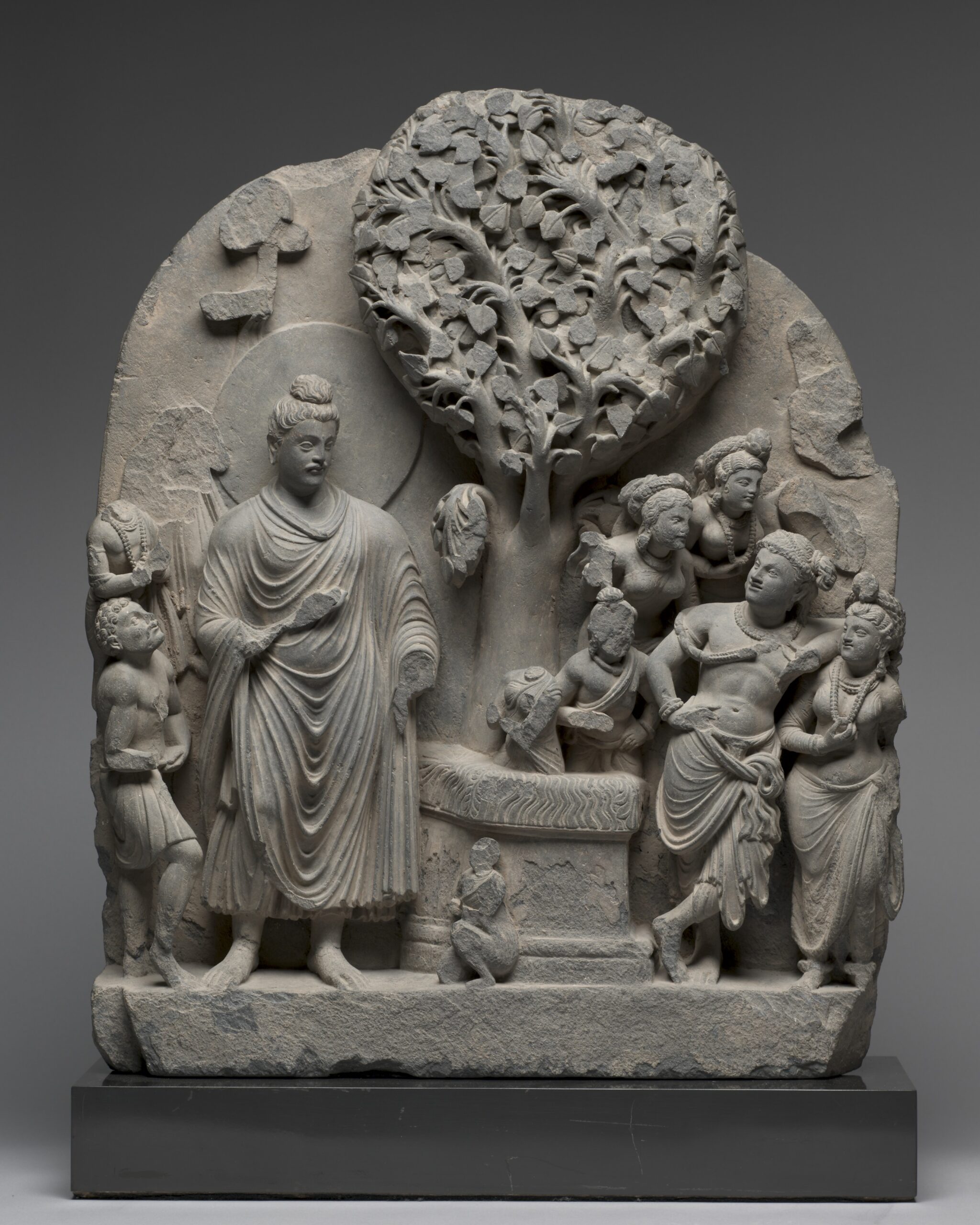 tree, gandhara, 100s–200s CE