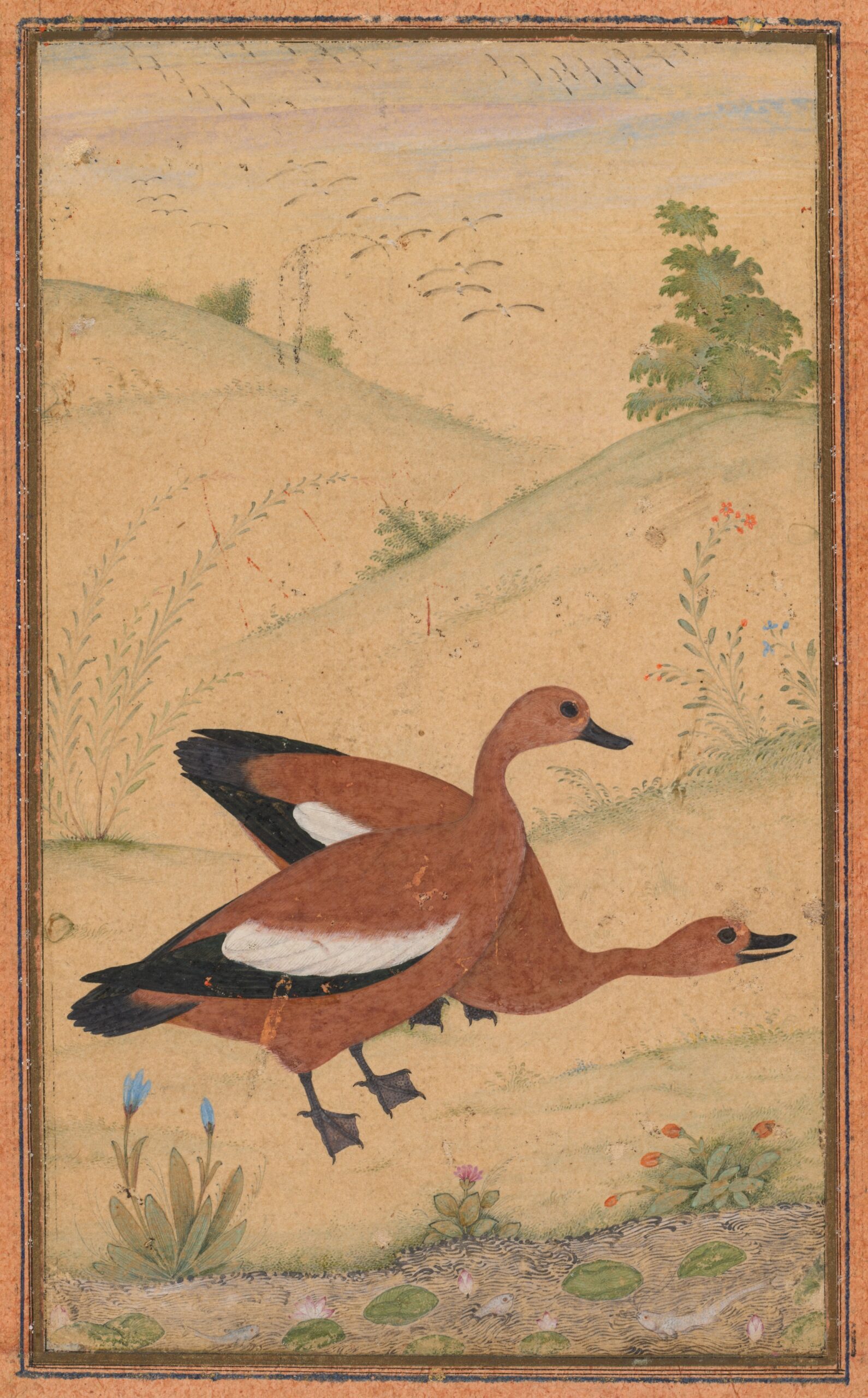 A pair of Brahminy ducks, mughal, c. 1595; borders added probably 1800s