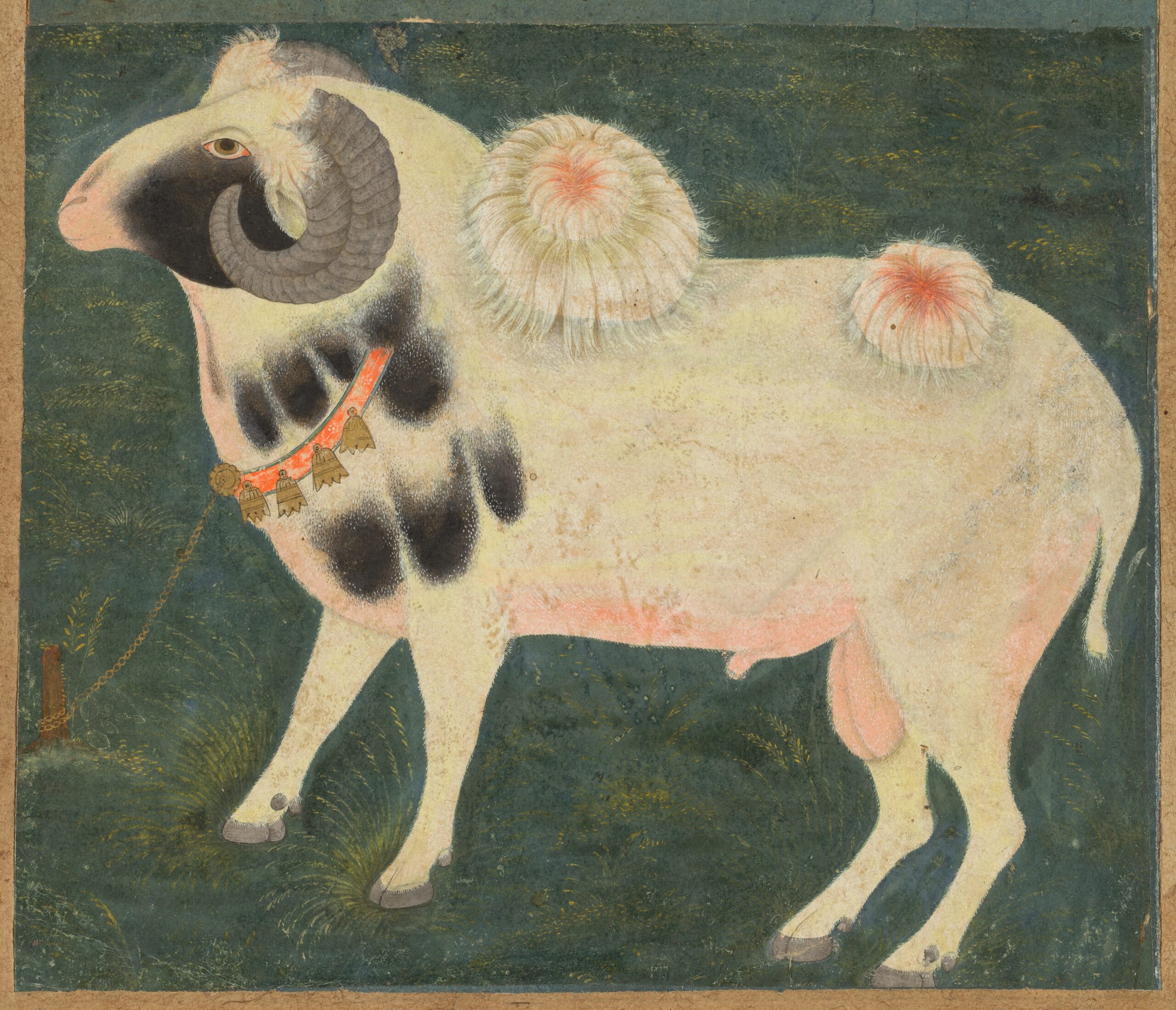 A royal ram with a gold chain, mughal, c. 1585; border added probably 1700s
