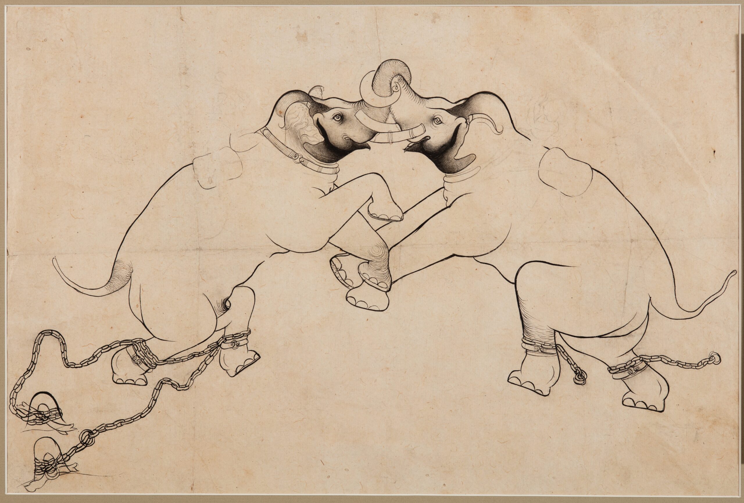 elephant, rajput, 1700–1730