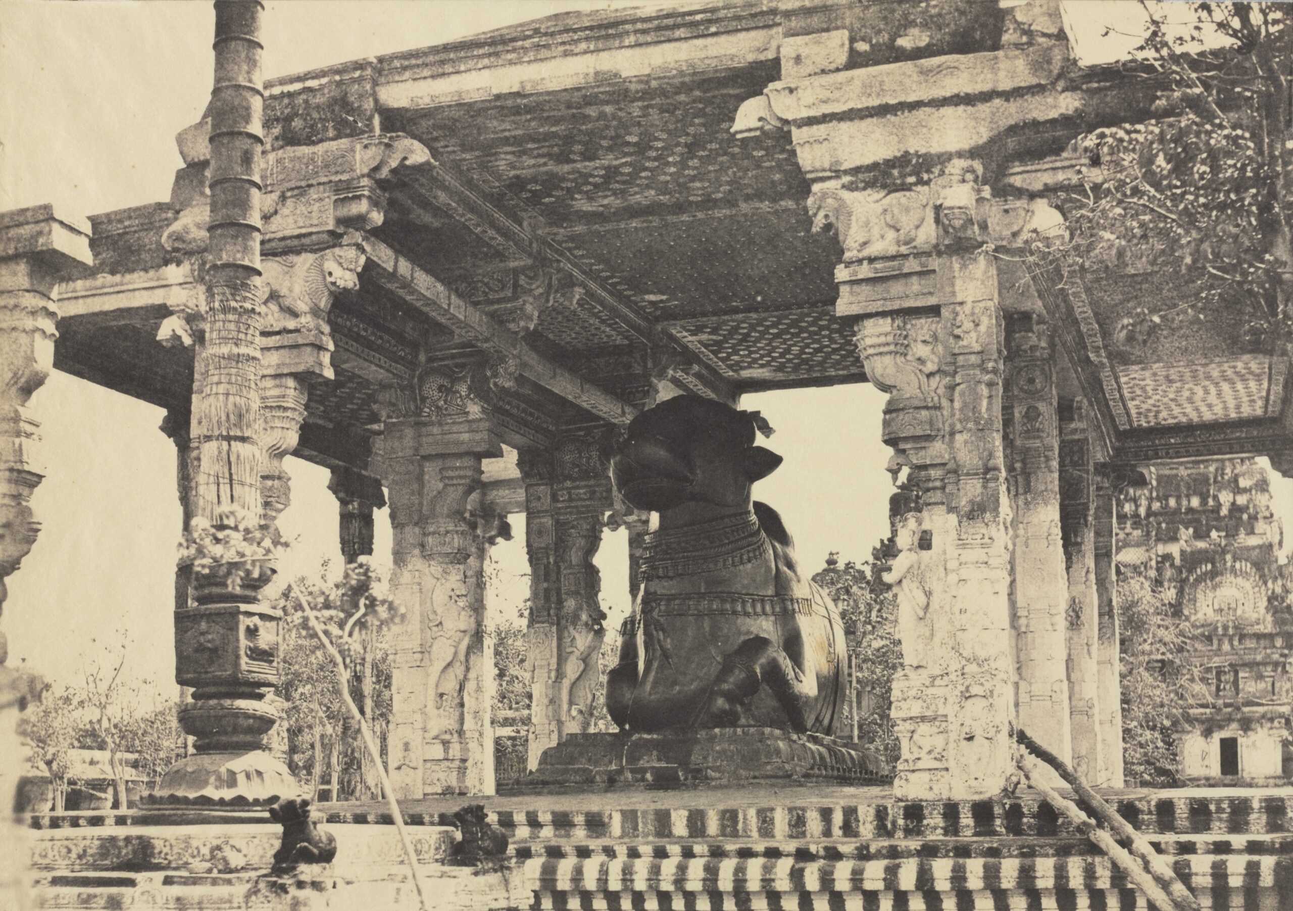 Great Pagoda, Great Bull, Front View, Tanjore, India (Rajarajeshvara Temple), plate 12 from Photographic Views of Tanjore and Trivady (Madras: Madras Presidency), tanjore, 1857
