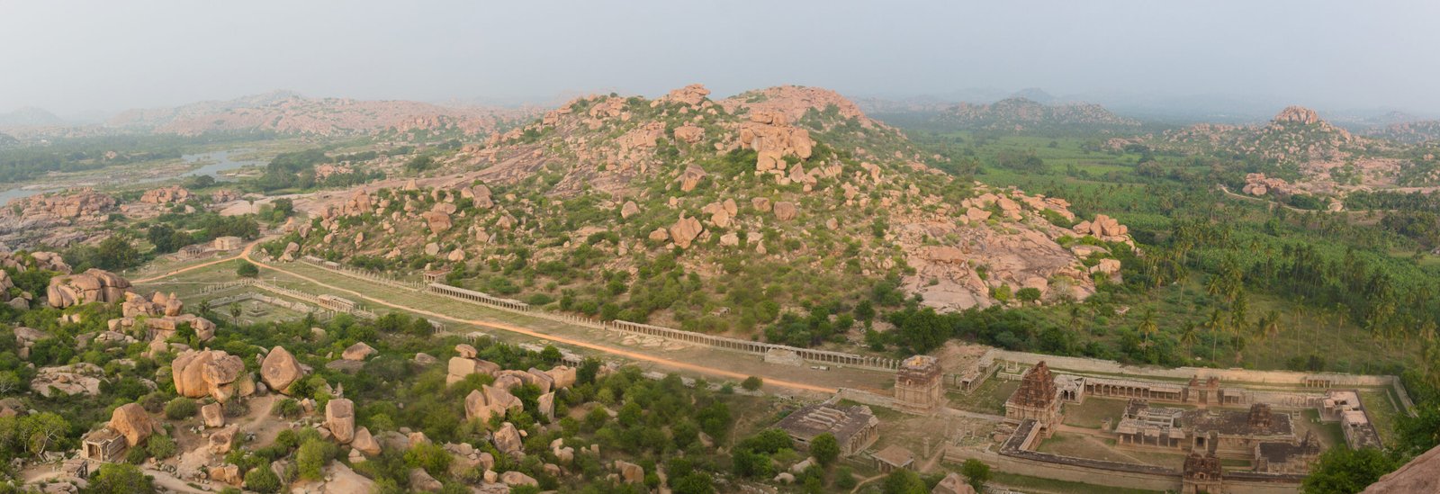 tree, vijayanagara