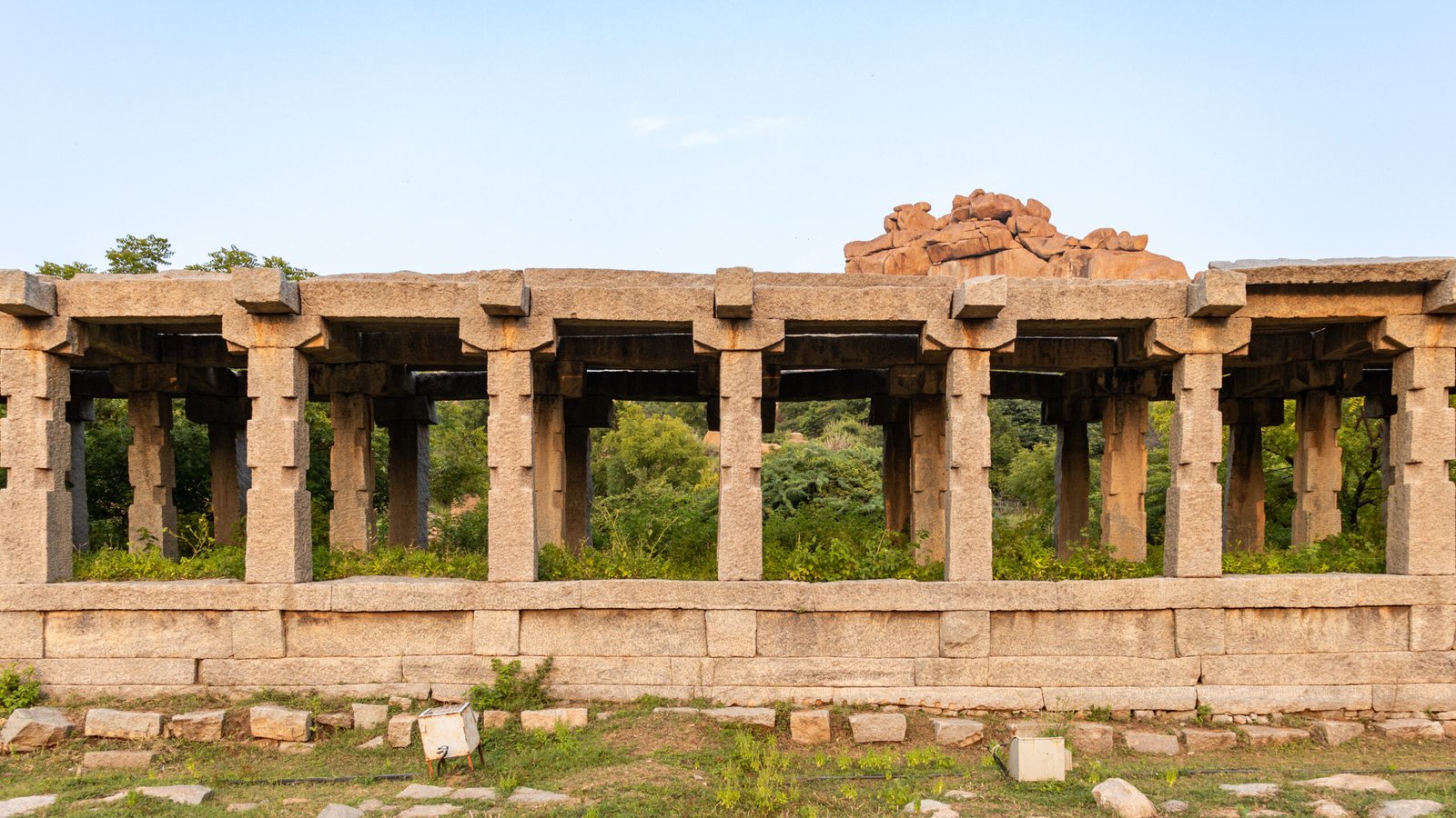 tree, vijayanagara