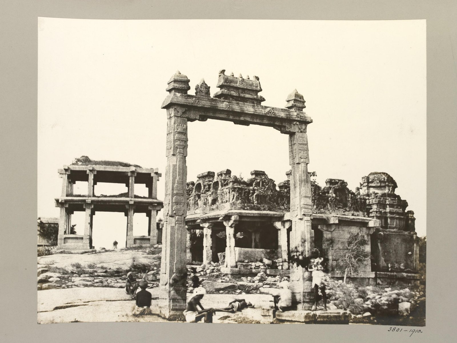 tree, vijayanagara, 1856