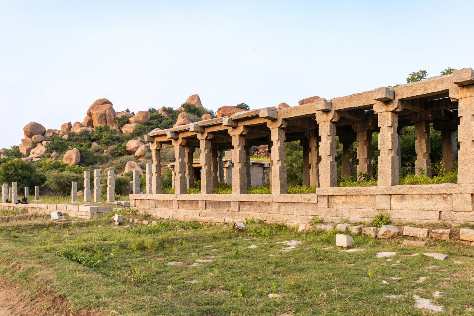 tree, vijayanagara