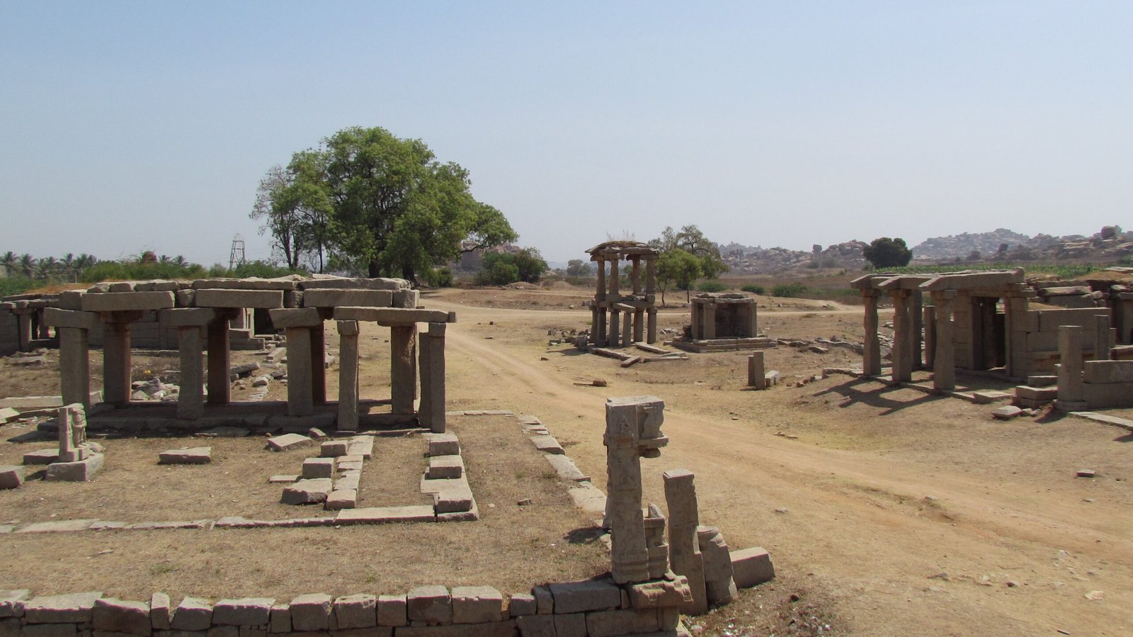 tree, vijayanagara